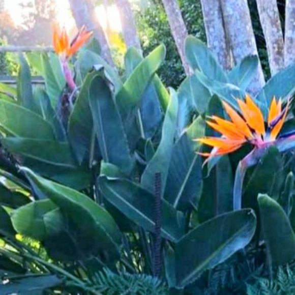 Meet your Posher, Karli - Picture 1 of 3